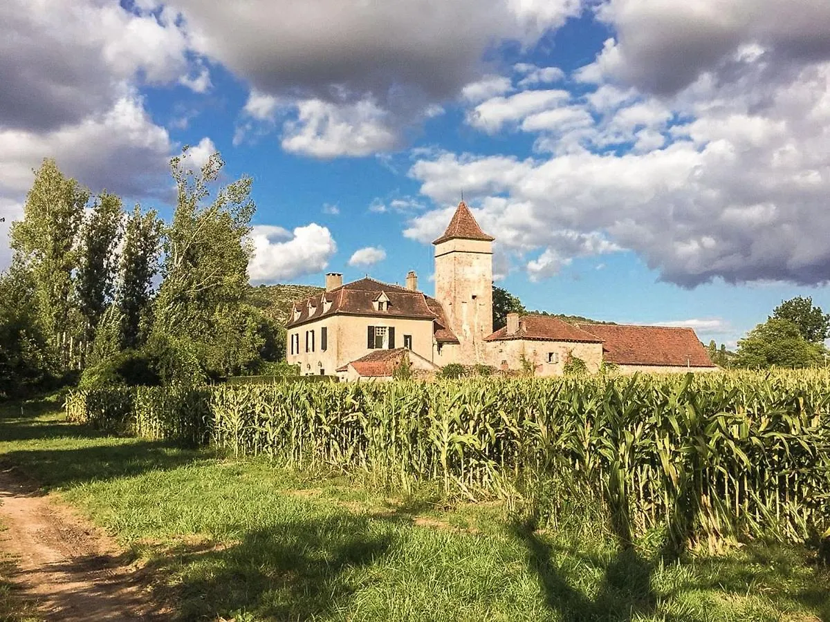 Historic Manor House 50 M From The River Lot Cenevieres